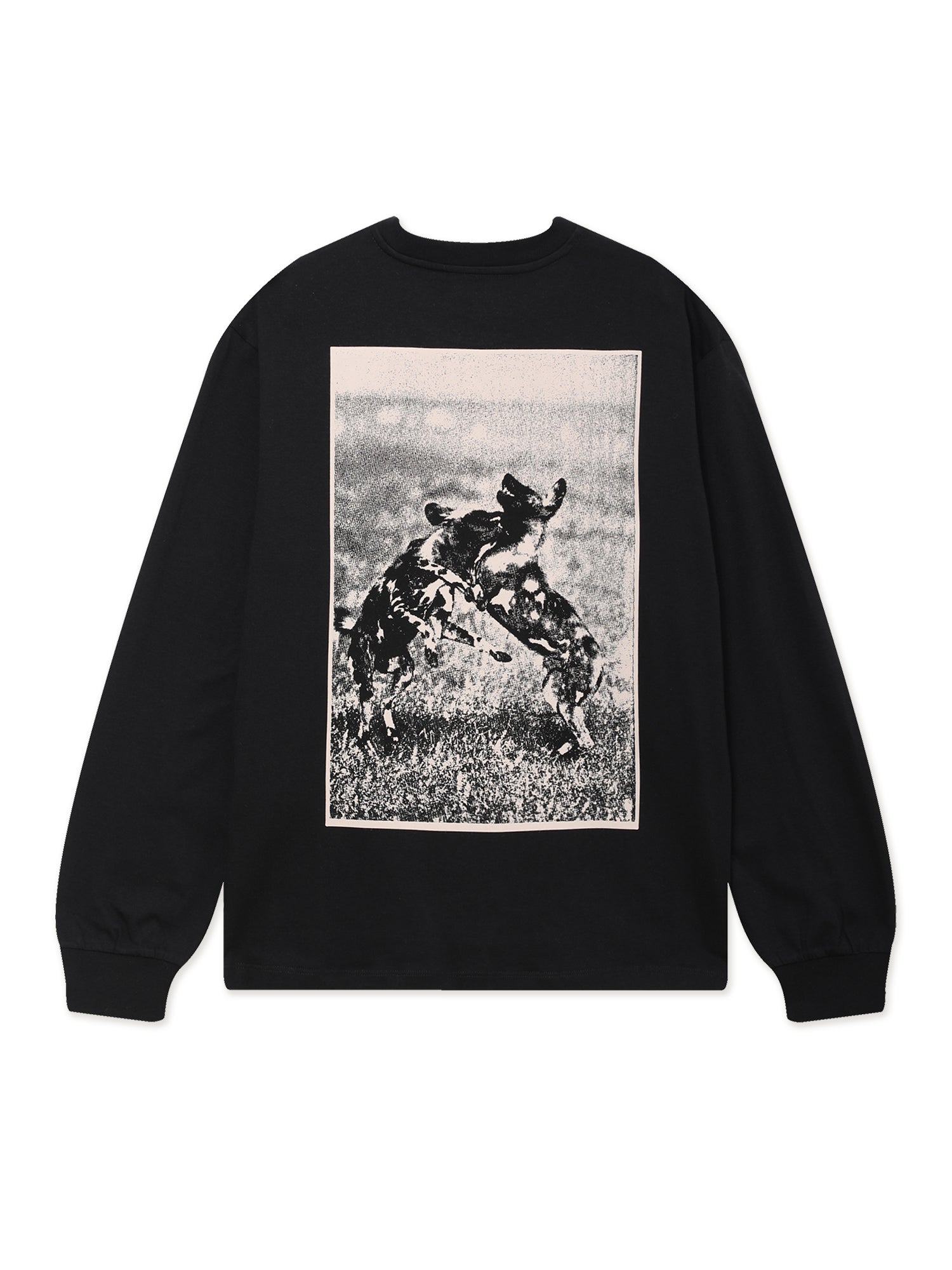 Product image by Kixbox