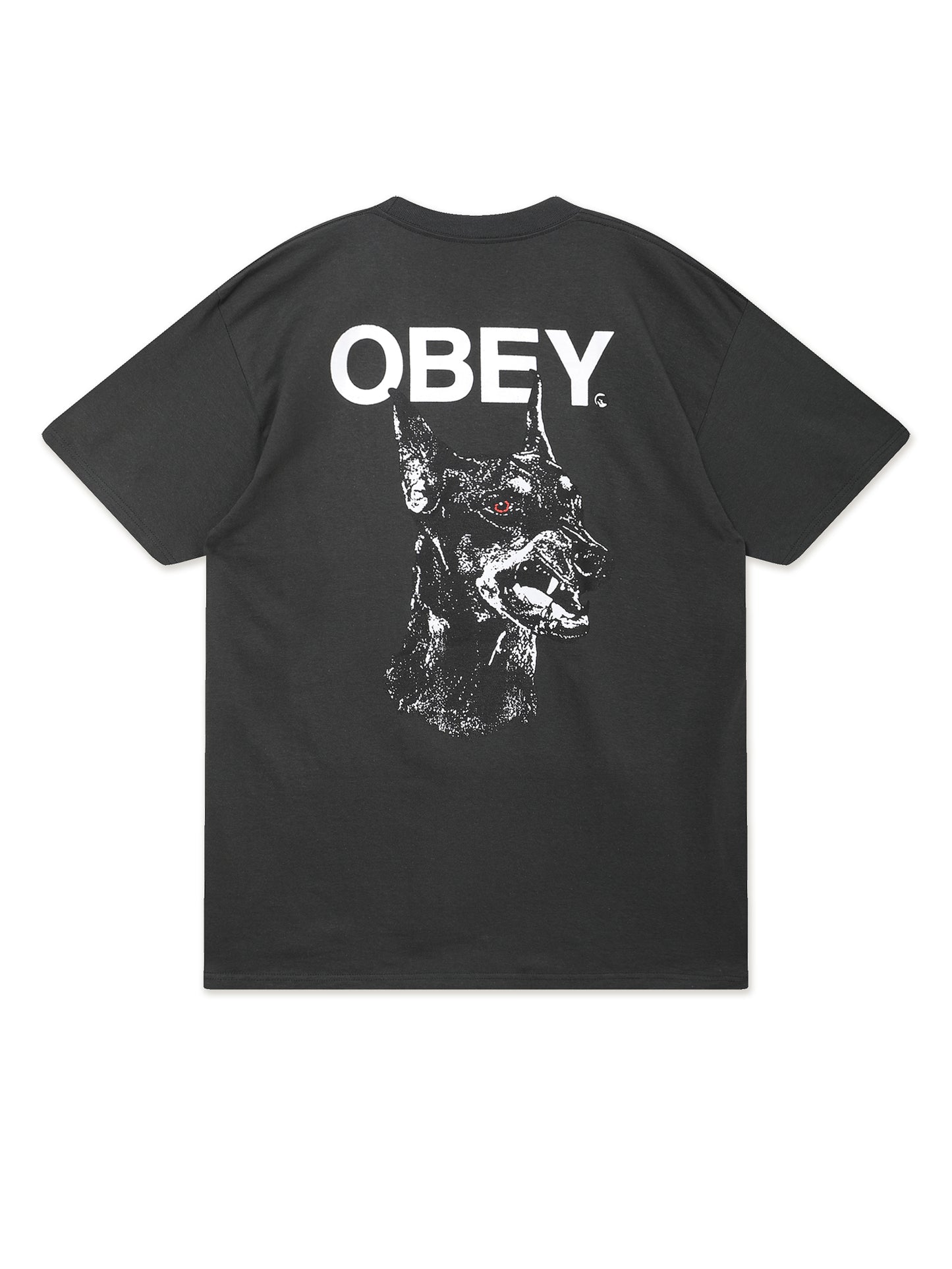 Product image by Kixbox