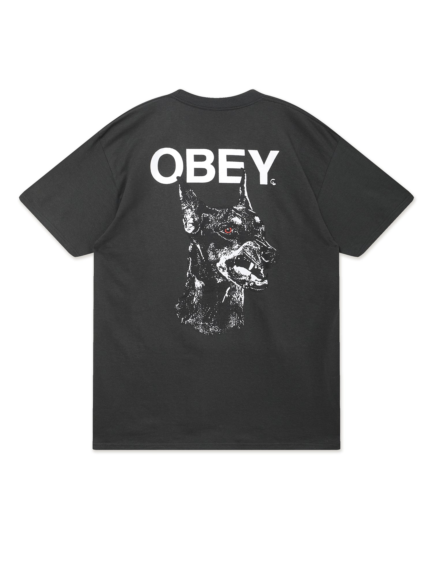 Product image by Kixbox