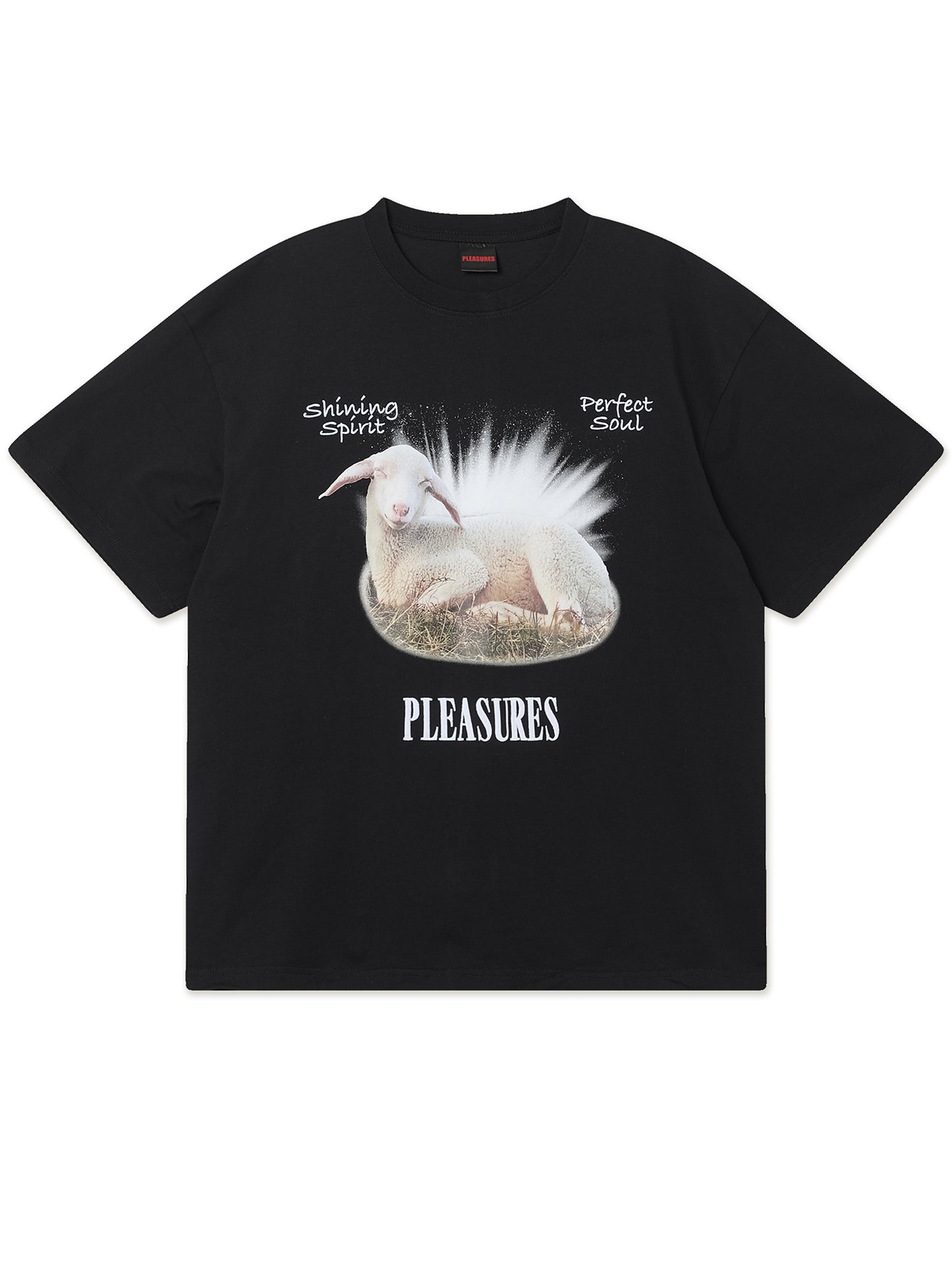 Product image by Kixbox