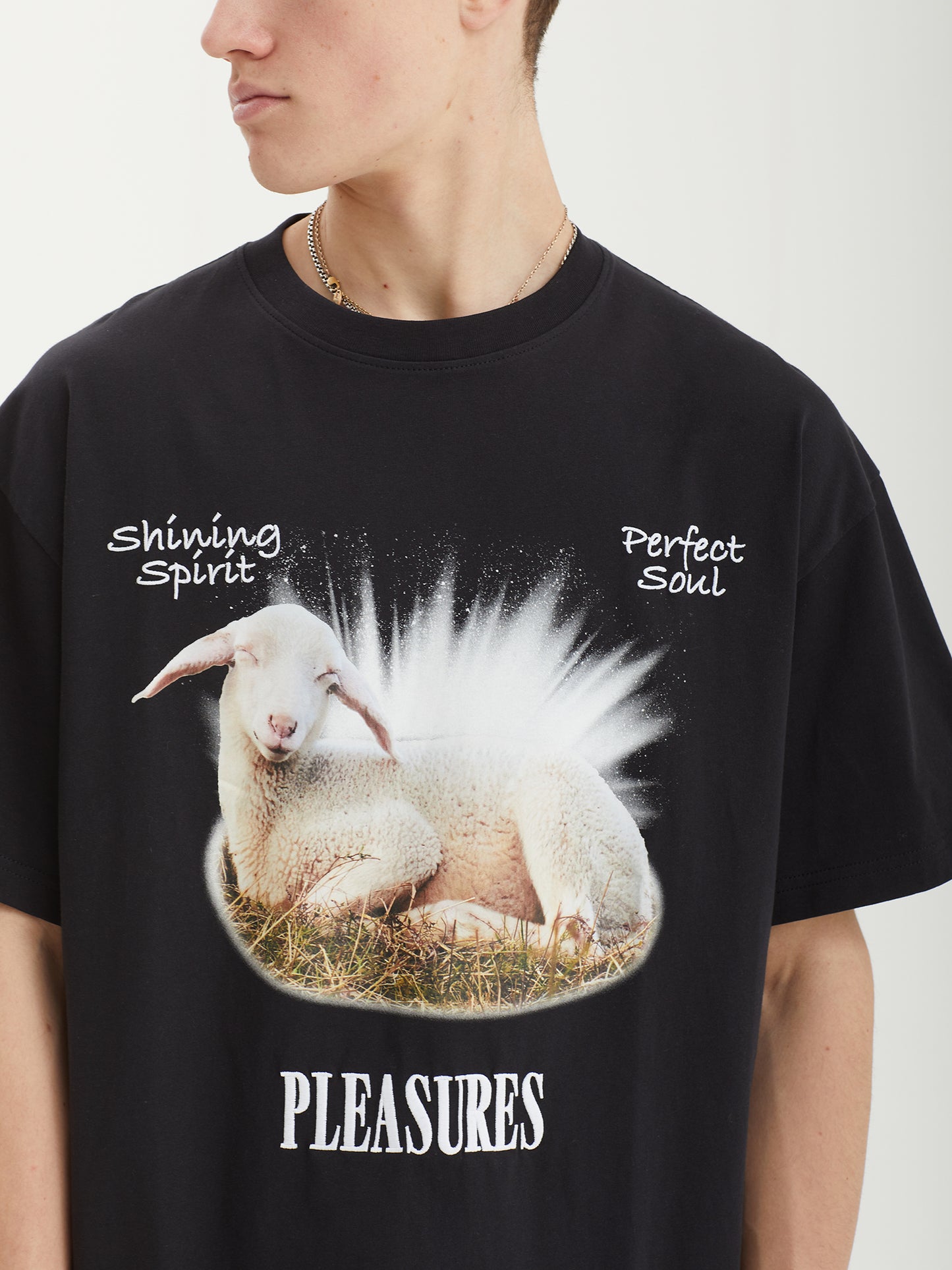 Product image by Kixbox