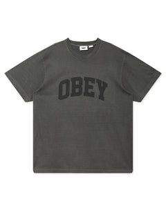 COLLEGIATE PIGMENT TEE