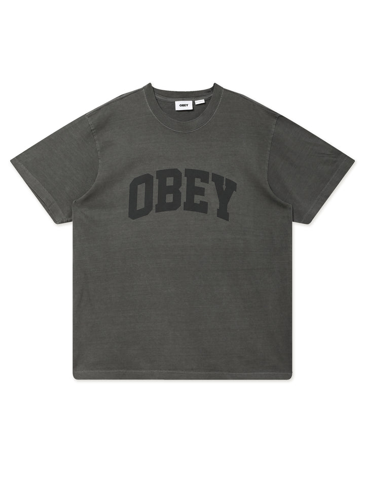 COLLEGIATE PIGMENT TEE