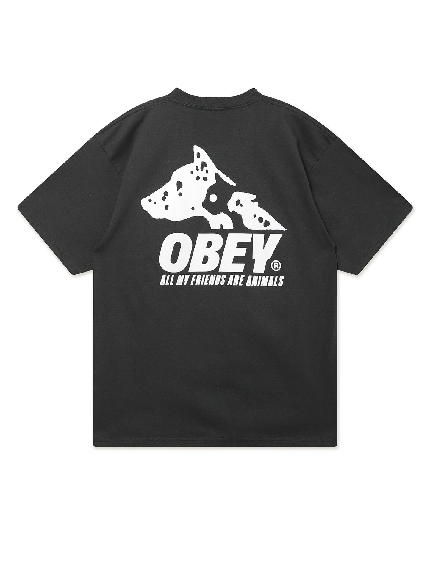 Product image by Kixbox