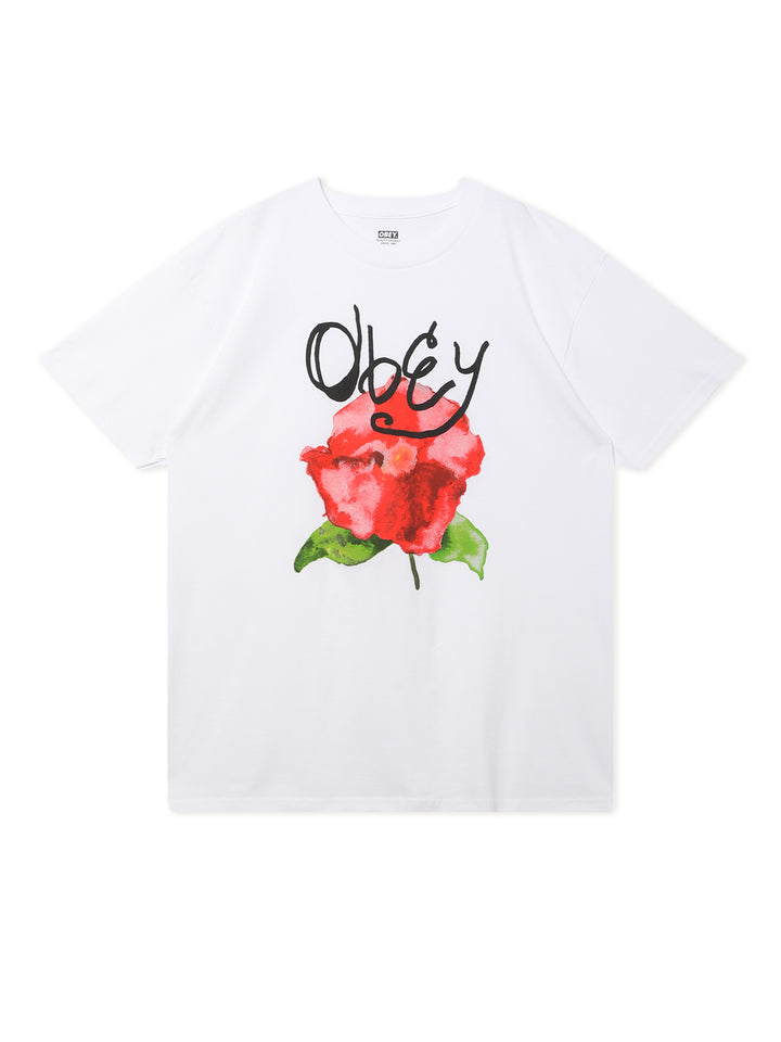 OBEY WATERCOLOR POPPY