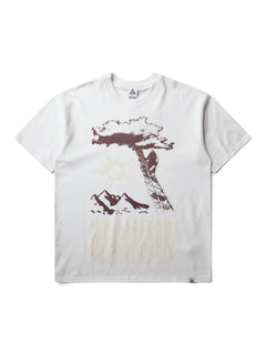M ACG DF TEE LSE 168