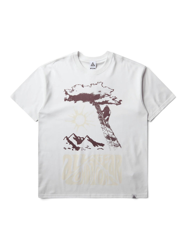 M ACG DF TEE LSE 168
