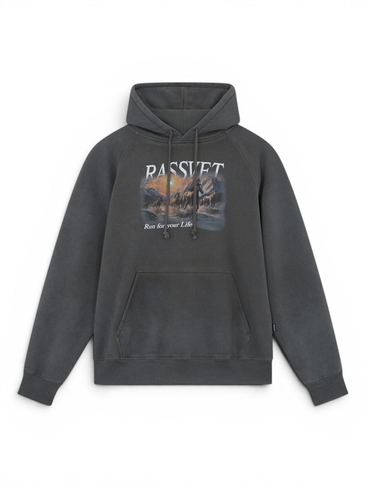 MEN HORSES RAGLAN HOODIE KNIT